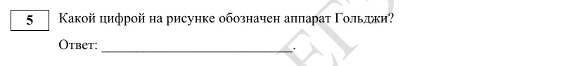 Задание 5 демоверсии ЕГЭ 2027 по биологии