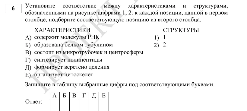 Задание 6 демоверсии ЕГЭ 2027 по биологии