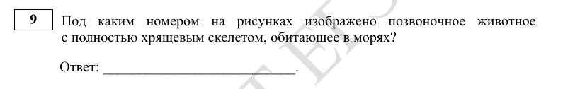 Задание 9 демоверсии ЕГЭ 2027 по биологии