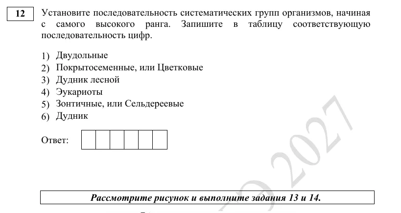 Задание 12 демоверсии ЕГЭ 2027 по биологии