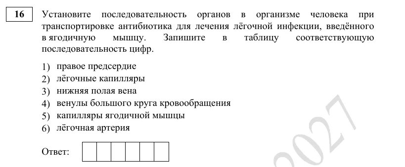 Задание 16 демоверсии ЕГЭ 2027 по биологии