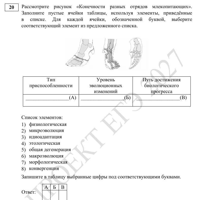 Задание 20 демоверсии ЕГЭ 2027 по биологии