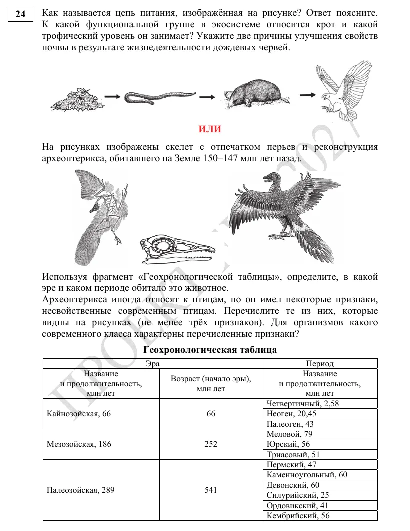 Задание 24 демоверсии ЕГЭ 2027 по биологии
