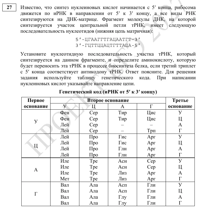 Задание 27 демоверсии ЕГЭ 2027 по биологии