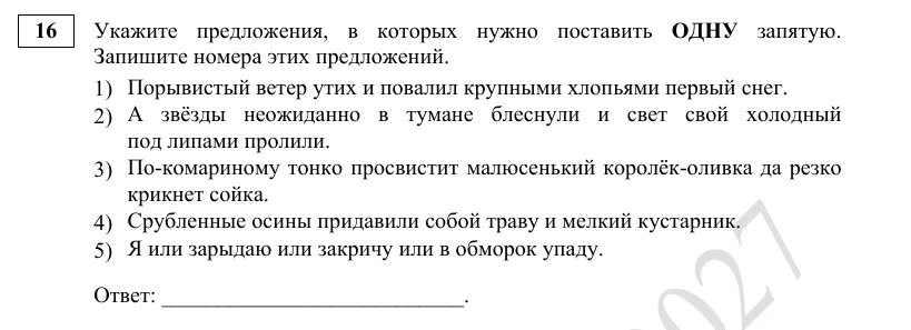 Задание 16 демоверсии ЕГЭ 2027 по русскому языку