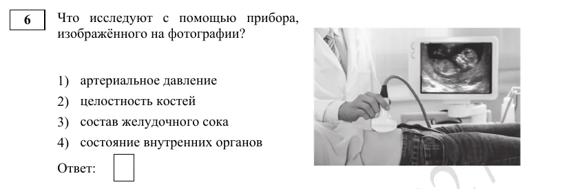 Задание 6 демоверсии ОГЭ 2027 по биологии